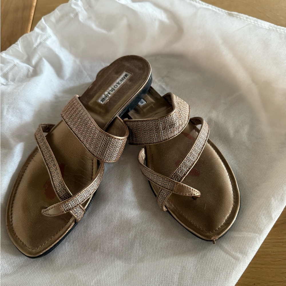 Manolo Blahnik Elegant Brown Sandals